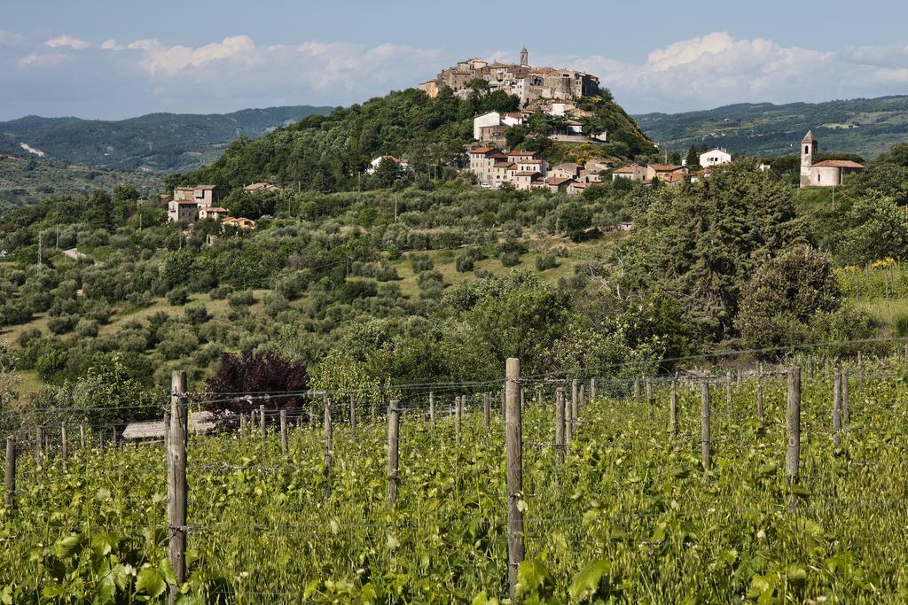 La Dragona Apartamento Castel del Piano  Quarto foto